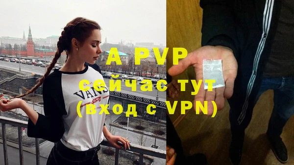 ГАЛЛЮЦИНОГЕННЫЕ ГРИБЫ Елизово