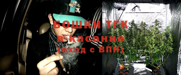 ГАЛЛЮЦИНОГЕННЫЕ ГРИБЫ Елизово