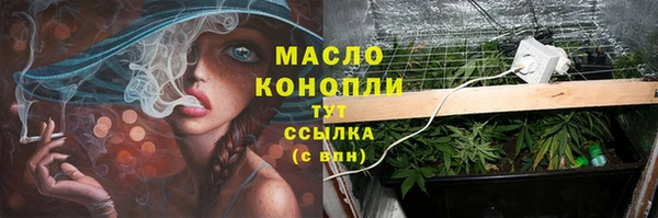 спайс Ельня