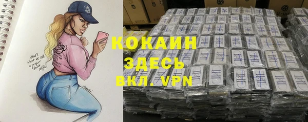 спайс Ельня