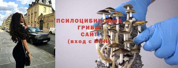 ГАЛЛЮЦИНОГЕННЫЕ ГРИБЫ Елизово