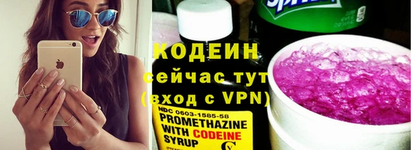 спайс Ельня