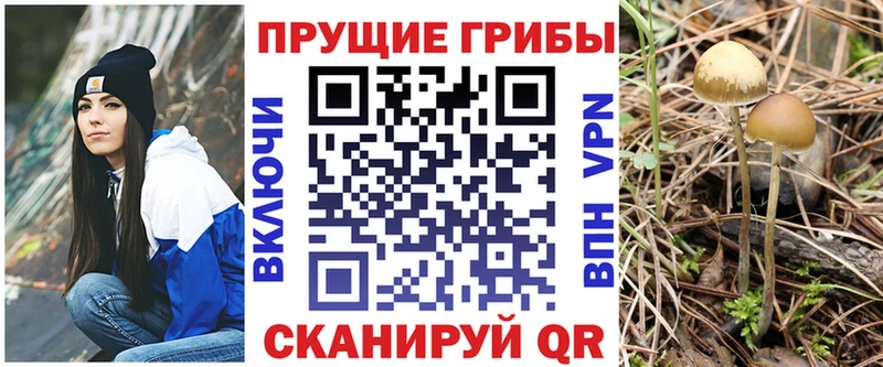 Галлюциногенные грибы GOLDEN TEACHER  Пласт 